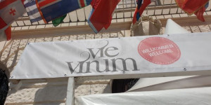 Beitragsbild des Blogbeitrags VieVinum 2024 – Der Countdown läuft 