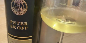 Beitragsbild des Blogbeitrags Weingut Skoff Peter – Finum 