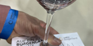 Beitragsbild des Blogbeitrags Wein Burgenland Präsentation 2024 in Linz