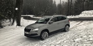 Beitragsbild des Blogbeitrags Wir suchen den perfekten Skoda Karoq. 