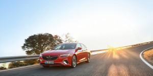 Beitragsbild des Blogbeitrags Gänsehaut 