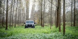 Beitragsbild des Blogbeitrags Des Jägers treuer Freund
