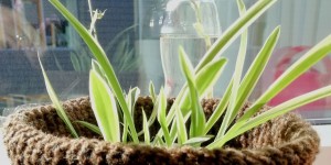 Beitragsbild des Blogbeitrags Schnelles Häkelprojekt: Übertöpfe und eine Vase