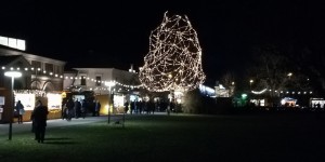 Beitragsbild des Blogbeitrags „Es weihnachtet sehr … “ – Adventmarkt in Grafenegg