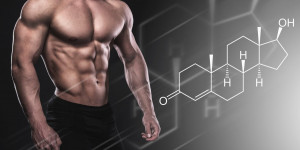 Beitragsbild des Blogbeitrags Gesundheit: So lässt sich Testosteron auf natürliche Weise steigern