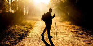 Beitragsbild des Blogbeitrags Fitness: Nordic Walking – Eine Alternative zum Laufen? 