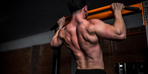 Beitragsbild des Blogbeitrags Fitness: Muskelmasse – Warum sie uns gesund hält