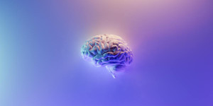 Beitragsbild des Blogbeitrags Gesundheit: Die Fitness unseres Gehirn verbessern – Welche Rolle spielt der Sport?