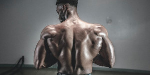Beitragsbild des Blogbeitrags Bodybuilding: Die effektivsten Fitnessübungen zur Stärkung der Rückenmuskulatur 