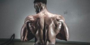 Beitragsbild des Blogbeitrags Bodybuilding: Die effektivsten Fitnessübungen zur Stärkung der Rückenmuskulatur