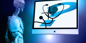 Beitragsbild des Blogbeitrags Fitness: Welche Rolle die Darmgesundheit für unsere sportliche Leistung spielt