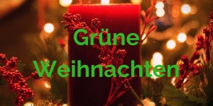 Beitragsbild des Blogbeitrags Grüne Weihnachten – Nachhaltigkeit
