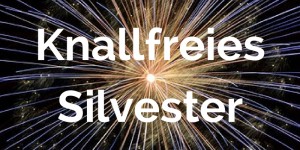 Beitragsbild des Blogbeitrags Knallfreies Silvester