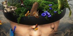 Beitragsbild des Blogbeitrags Astralreise: Der König der Kobolde