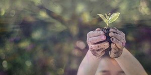 Beitragsbild des Blogbeitrags Gastartikel: Turbulente Zeiten als Chance nutzen