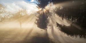 Beitragsbild des Blogbeitrags Wiedererlangung zur Ganzheit des Selbstes – Teil 2