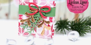 Beitragsbild des Blogbeitrags Tannen und Zapfen und Schokolade | Stampin‘ Up!