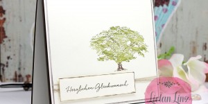 Beitragsbild des Blogbeitrags Geburtstagskarte „Kraft der Natur“ | Stampin‘ Up!