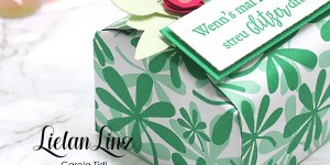Beitragsbild des Blogbeitrags Wenn’s mal nicht läuft … | Stampin‘ Up!