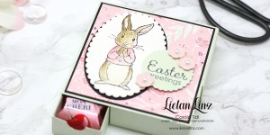 Beitragsbild des Blogbeitrags 4-seitige Schokoladenverpackung | Stampin‘ Up!