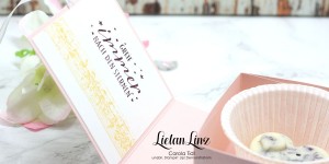 Beitragsbild des Blogbeitrags Anleitung Buch-Box für Anfänger | Stampin‘ Up!