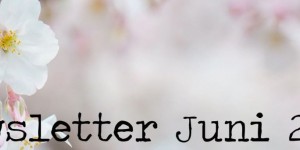 Beitragsbild des Blogbeitrags Newsletter Juni 2019 – Der neue Jahreskatalog ist da | Stampin‘ Up!