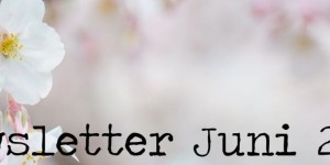 Beitragsbild des Blogbeitrags Newsletter Juni 2019 – Der neue Jahreskatalog ist da | Stampin‘ Up! 