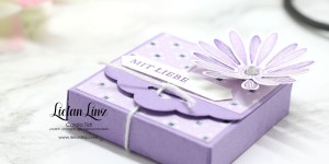 Beitragsbild des Blogbeitrags Mini-Schokoladenverpackung (mit Videoanleitung) | Stampin‘ Up!