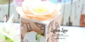 Beitragsbild des Blogbeitrags Top Fold Box Magnoliengruss (Montagsvideo) | Stampin‘ Up!