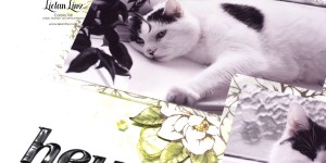Beitragsbild des Blogbeitrags … raus aus der Komfortzone | Stampin‘ Up!