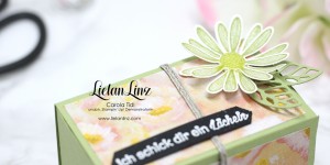Beitragsbild des Blogbeitrags Montagsvideo: Box mit Überschlagsdeckel | Stampin‘ Up!