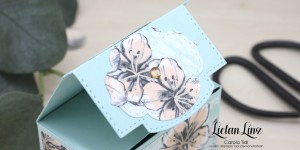 Beitragsbild des Blogbeitrags Box mit Magnetverschluss (inkl. Videoanleitung) | Stampin‘ Up!