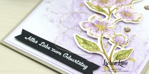 Beitragsbild des Blogbeitrags Geburtstagskarte Kirschblüten | Stampin‘ Up! 