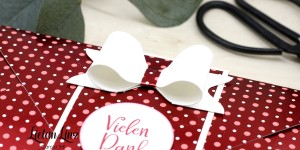 Beitragsbild des Blogbeitrags Umschlagbox – erstellt mit dem Stanz- und Falzbrett (inkl. Videoanleitung) | Stampin‘ Up!