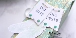 Beitragsbild des Blogbeitrags Montagsvideo: Milchkarton für Handschaum | Stampin‘ Up! 