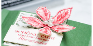 Beitragsbild des Blogbeitrags 1 Set – 5 Tage – 25 Ideen: Tag 3 „eine selbstschließende Box“ | Stampin‘ Up!