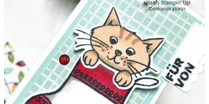 Beitragsbild des Blogbeitrags Live-basteln: Ziehverpackung | Stampin‘ Up!