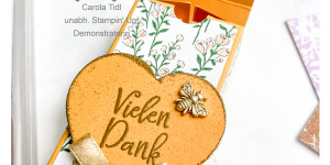 Beitragsbild des Blogbeitrags LielanLinz Live – eine kleine Schokoverpackung | Stampin‘ Up!