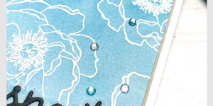 Beitragsbild des Blogbeitrags Instahop Team LielanLinz – der neue Jahreskatalog | Stampin‘ Up!