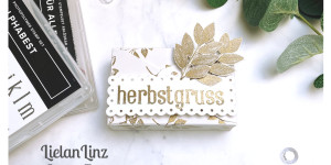 Beitragsbild des Blogbeitrags Instahop Team LielanLinz – Thema: Herbst | Stampin‘ Up!