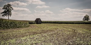 Beitragsbild des Blogbeitrags 33 Grad. Mitten in einem Feld in der Oststeiermark.