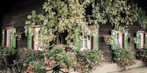 Beitragsbild des Blogbeitrags Steirischer Schatz 2017. Rassach (Weststeiermark)