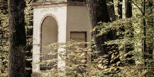 Beitragsbild des Blogbeitrags Olympus 12-100/f4 und ein Bildstock im Herbstwald