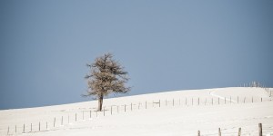 Beitragsbild des Blogbeitrags Stille im Advent ?
