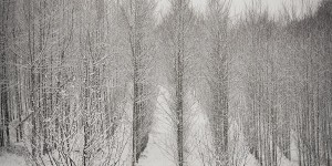 Beitragsbild des Blogbeitrags Schnee, Instagram und Leselust