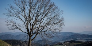 Beitragsbild des Blogbeitrags