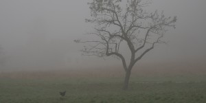 Beitragsbild des Blogbeitrags Umgebungsreisender
