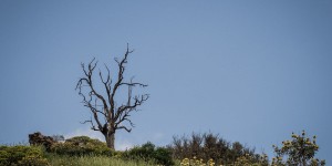 Beitragsbild des Blogbeitrags Slow - traveling in Kreta (Teil 2)