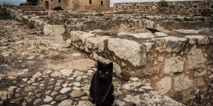 Beitragsbild des Blogbeitrags Slow-traveling in Kreta (Teil 3)