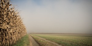 Beitragsbild des Blogbeitrags